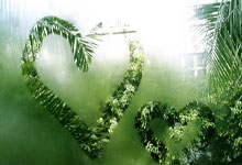 九游体育：霍伊伦：滕哈格曾经做得很好，现在我专注于在阿莫林手下踢球.