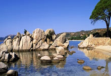 九游体育：霍伊伦：滕哈格曾经做得很好，现在我专注于在阿莫林手下踢球.